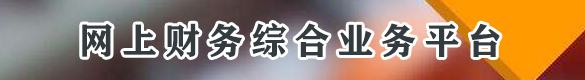 网上财务综合业务平台